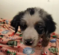 processed/a7f8ee63-cfad-49e7-829e-9f0da623d8b9/listing/571f7c2b-60b5-4109-94eb-4e63f2430a03/1c0af572-4340-46b9-b25f-7267a6e85127