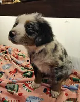 processed/a7f8ee63-cfad-49e7-829e-9f0da623d8b9/listing/571f7c2b-60b5-4109-94eb-4e63f2430a03/823405b8-5c8f-46ee-b5a2-72696c950efe