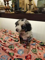 processed/a7f8ee63-cfad-49e7-829e-9f0da623d8b9/listing/571f7c2b-60b5-4109-94eb-4e63f2430a03/9644bbbb-32ae-49b8-adad-724f067ccb6c