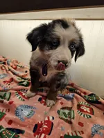 processed/a7f8ee63-cfad-49e7-829e-9f0da623d8b9/listing/571f7c2b-60b5-4109-94eb-4e63f2430a03/b7e25585-73c5-4307-823c-ebd2206e943b