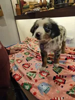 processed/a7f8ee63-cfad-49e7-829e-9f0da623d8b9/listing/571f7c2b-60b5-4109-94eb-4e63f2430a03/c5c40707-8716-408c-bbc1-10bc5cb5f6ef