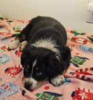 processed/a7f8ee63-cfad-49e7-829e-9f0da623d8b9/listing/922d004f-ae3d-4c3e-ac77-f73f43166d21/6f483df6-d594-45cf-bc3d-5e61ae36f3be