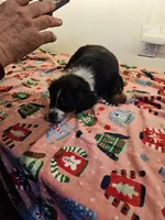 processed/a7f8ee63-cfad-49e7-829e-9f0da623d8b9/listing/922d004f-ae3d-4c3e-ac77-f73f43166d21/abc9dd72-7b86-49f5-b2b3-a70ae98cdeeb