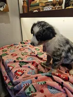 processed/a7f8ee63-cfad-49e7-829e-9f0da623d8b9/listing/e43b452e-ae17-46b3-8b1c-b8e449edb0f4/2f5a98cb-0ac1-4855-98ba-b0b8bf34f63f