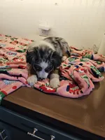 processed/a7f8ee63-cfad-49e7-829e-9f0da623d8b9/listing/e43b452e-ae17-46b3-8b1c-b8e449edb0f4/3bd5a0b0-b5d7-4a1e-81a4-3cbd89ee0c27