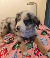 processed/a7f8ee63-cfad-49e7-829e-9f0da623d8b9/listing/e43b452e-ae17-46b3-8b1c-b8e449edb0f4/4dffd6f2-a3df-4a65-ab85-70bcb3a0a4bf