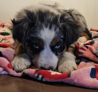 processed/a7f8ee63-cfad-49e7-829e-9f0da623d8b9/listing/e43b452e-ae17-46b3-8b1c-b8e449edb0f4/7bed5b05-0367-4935-8e23-3c639a736263