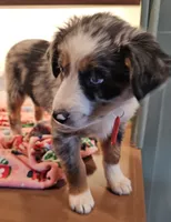 processed/a7f8ee63-cfad-49e7-829e-9f0da623d8b9/listing/e43b452e-ae17-46b3-8b1c-b8e449edb0f4/aa612448-1701-4047-b46f-b4185da296ee