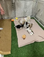 Facility photo