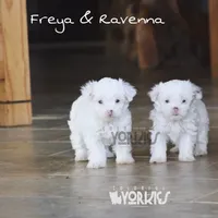 processed/a80fb764-31b8-40c4-b529-114fa3dfa22b/facility/05033830-0fd2-4342-a82d-6b6841d88e8e