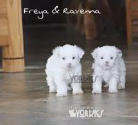 processed/a80fb764-31b8-40c4-b529-114fa3dfa22b/facility/05033830-0fd2-4342-a82d-6b6841d88e8e