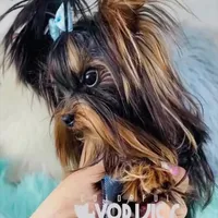 processed/a80fb764-31b8-40c4-b529-114fa3dfa22b/facility/12d7ed98-ca73-431b-a755-96d7842c46bc