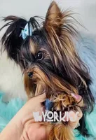 processed/a80fb764-31b8-40c4-b529-114fa3dfa22b/facility/12d7ed98-ca73-431b-a755-96d7842c46bc