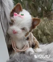 processed/a80fb764-31b8-40c4-b529-114fa3dfa22b/facility/31eee539-f1bc-4819-bbba-25063a84e388