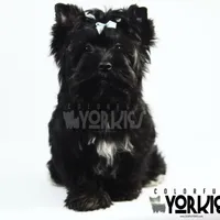 processed/a80fb764-31b8-40c4-b529-114fa3dfa22b/facility/757e03eb-684a-43f8-b8ab-da674eb39577