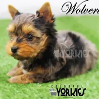 processed/a80fb764-31b8-40c4-b529-114fa3dfa22b/facility/9d5da3d1-5cc7-4c34-920d-f971ebd877b9