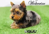 processed/a80fb764-31b8-40c4-b529-114fa3dfa22b/facility/9d5da3d1-5cc7-4c34-920d-f971ebd877b9