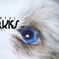 processed/a80fb764-31b8-40c4-b529-114fa3dfa22b/facility/a109157f-091e-4665-860e-76c6a064d13d