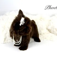 processed/a80fb764-31b8-40c4-b529-114fa3dfa22b/facility/cf1607d7-b494-4437-b460-004dea22b712