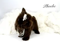 processed/a80fb764-31b8-40c4-b529-114fa3dfa22b/facility/cf1607d7-b494-4437-b460-004dea22b712