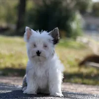 processed/a80fb764-31b8-40c4-b529-114fa3dfa22b/facility/f7c97c50-b36c-4597-be07-98e34c711cf2