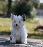 processed/a80fb764-31b8-40c4-b529-114fa3dfa22b/facility/f7c97c50-b36c-4597-be07-98e34c711cf2