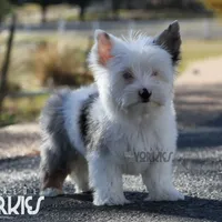 processed/a80fb764-31b8-40c4-b529-114fa3dfa22b/facility/f7cc5de4-4222-493b-9133-7cf5b265460c