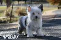 processed/a80fb764-31b8-40c4-b529-114fa3dfa22b/facility/f7cc5de4-4222-493b-9133-7cf5b265460c