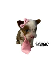 processed/a80fb764-31b8-40c4-b529-114fa3dfa22b/listing/77023306-0d8e-4d98-a0cb-0c1595ef5d2e/042cd972-3a52-407c-853f-b091fec2603c