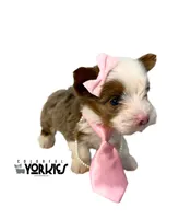 processed/a80fb764-31b8-40c4-b529-114fa3dfa22b/listing/77023306-0d8e-4d98-a0cb-0c1595ef5d2e/49407ac7-94e9-427b-abb9-8f5622819db0