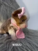 processed/a80fb764-31b8-40c4-b529-114fa3dfa22b/listing/77023306-0d8e-4d98-a0cb-0c1595ef5d2e/819a9b05-ba8f-4f8f-99ef-b4e9f8518b50