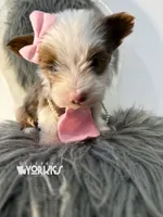 processed/a80fb764-31b8-40c4-b529-114fa3dfa22b/listing/77023306-0d8e-4d98-a0cb-0c1595ef5d2e/db8c8f78-65ae-407d-8274-fa8d70fab667