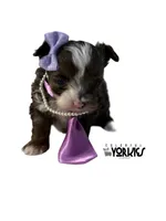 processed/a80fb764-31b8-40c4-b529-114fa3dfa22b/listing/e17749ea-40c2-4f98-9ccd-7ce61c3a38db/09065a73-aaf2-4a8c-b282-37f3a8436e80