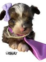 processed/a80fb764-31b8-40c4-b529-114fa3dfa22b/listing/e17749ea-40c2-4f98-9ccd-7ce61c3a38db/5003edb1-57d6-4ced-a30a-e23fffc8193c