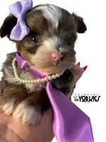 processed/a80fb764-31b8-40c4-b529-114fa3dfa22b/listing/e17749ea-40c2-4f98-9ccd-7ce61c3a38db/8c909727-a279-4aa3-ab78-073bd5831f9d