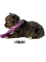 processed/a80fb764-31b8-40c4-b529-114fa3dfa22b/listing/e17749ea-40c2-4f98-9ccd-7ce61c3a38db/c2954307-bbc4-4f3a-89dc-1ccb5749a723