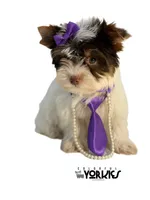 processed/a80fb764-31b8-40c4-b529-114fa3dfa22b/listing/fca3e418-9dce-4da8-b117-ec1877f77b42/8a934329-0c84-43f5-9d4a-27a7d6e48c16