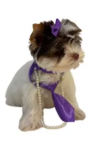 processed/a80fb764-31b8-40c4-b529-114fa3dfa22b/listing/fca3e418-9dce-4da8-b117-ec1877f77b42/96b75cd6-eb6d-4905-b80e-843016d86c15