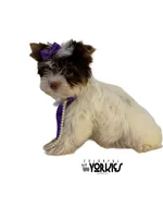 processed/a80fb764-31b8-40c4-b529-114fa3dfa22b/listing/fca3e418-9dce-4da8-b117-ec1877f77b42/ce382a8e-e5e1-41ce-b2cc-98e00cf5eb54