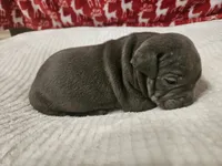 processed/a82a948e-6bf1-43a7-a4a7-aee764b8bc53/listing/2a9c45a7-fce3-434a-8b5a-a436f0ecc8e4/242d89ae-d5d8-4b8d-b213-5754202359a8