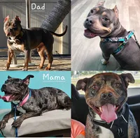 processed/a82a948e-6bf1-43a7-a4a7-aee764b8bc53/listing/2a9c45a7-fce3-434a-8b5a-a436f0ecc8e4/3e71d671-43b4-4d89-9c11-fff18544520a