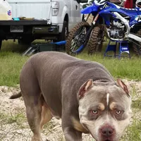 processed/a8325c1f-7958-4693-afea-cf3411e6d517/facility/5f03072f-f9fd-4ec4-b853-d19a065da9eb