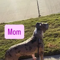 processed/a8325c1f-7958-4693-afea-cf3411e6d517/facility/df000c6f-ab7f-4dd6-9c08-a8ee27550051