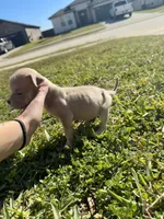 processed/a8325c1f-7958-4693-afea-cf3411e6d517/listing/264093f2-aa17-420e-a342-02ed4e480d4e/24409626-01a9-4399-b7a4-8ec2e1721cd2