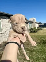 processed/a8325c1f-7958-4693-afea-cf3411e6d517/listing/264093f2-aa17-420e-a342-02ed4e480d4e/c026b923-7b5e-4c12-9801-d9f439d649a5