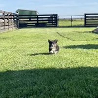 processed/a8380b54-446d-4f57-8dd5-1f8ea3bec621/facility/09bf2190-0017-4129-8dff-303c738d8cf8