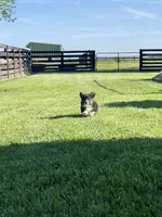 processed/a8380b54-446d-4f57-8dd5-1f8ea3bec621/facility/09bf2190-0017-4129-8dff-303c738d8cf8