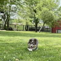 processed/a8380b54-446d-4f57-8dd5-1f8ea3bec621/facility/44bc0ff6-13b0-4736-b47d-deb6753138db