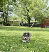 processed/a8380b54-446d-4f57-8dd5-1f8ea3bec621/facility/44bc0ff6-13b0-4736-b47d-deb6753138db