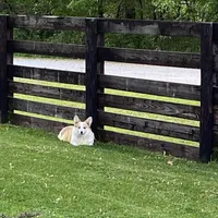 processed/a8380b54-446d-4f57-8dd5-1f8ea3bec621/facility/4d3eb1d8-c68f-4472-ac4a-3ee757937ce9